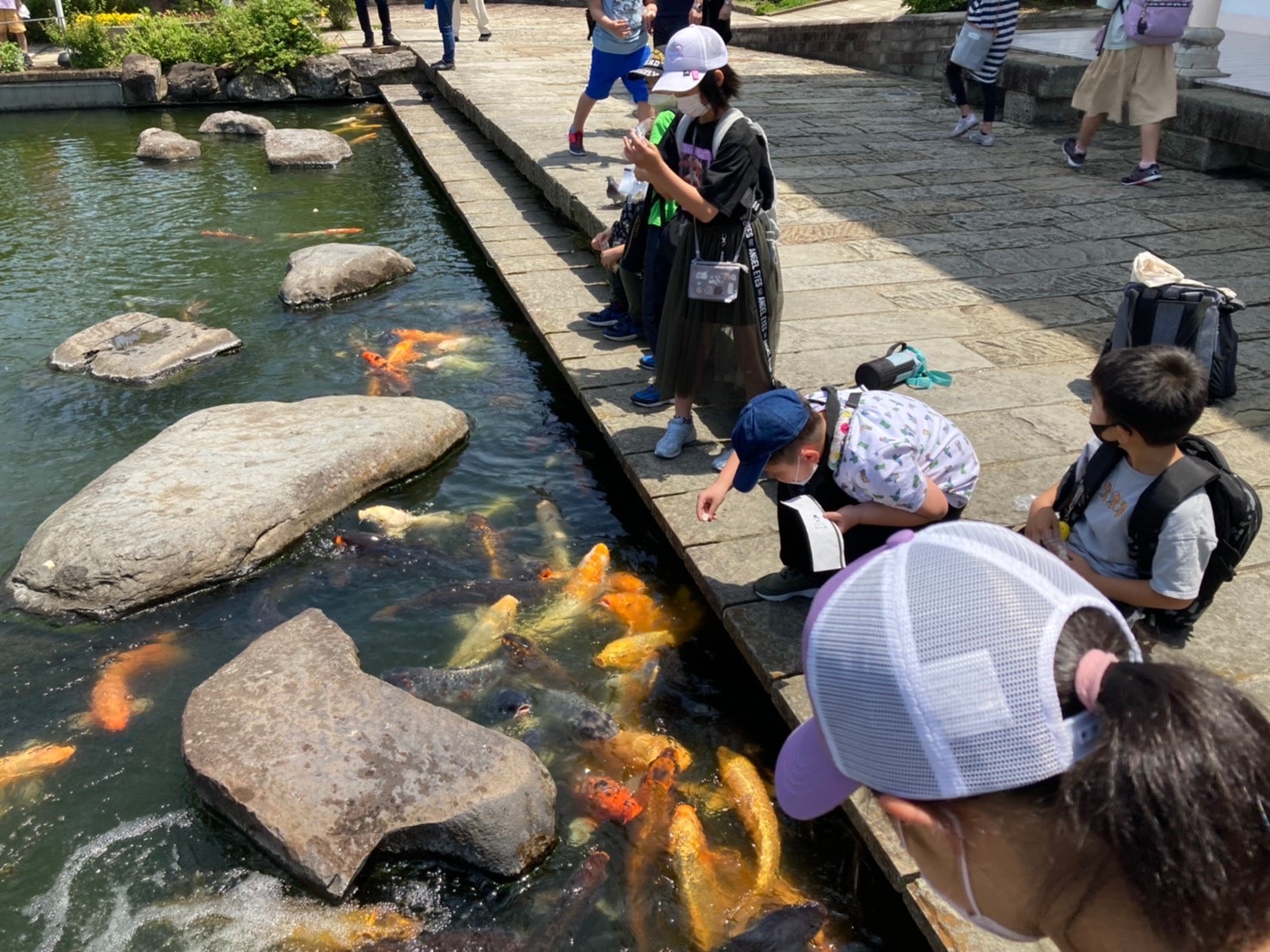 グラバー園の鯉の池