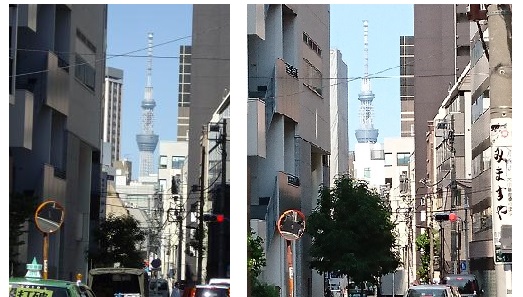スカイツリー 比較