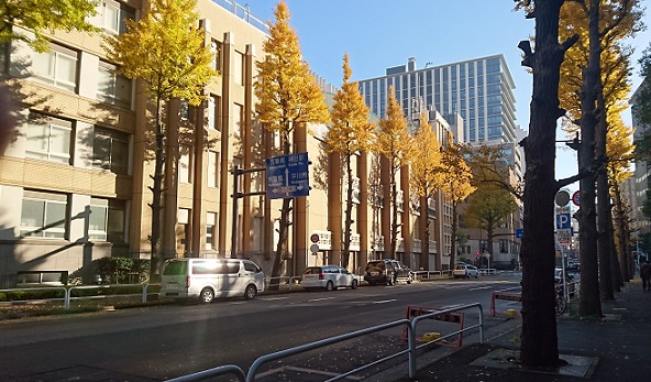 %e3%82%a4%e3%83%81%e3%83%a7%e3%82%a6%e3%80%80%e5%b7%a8%e6%9c%a8%ef%bc%91