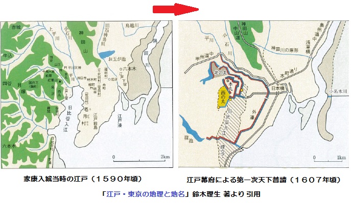 皇居外苑の松林: 巨樹拝見