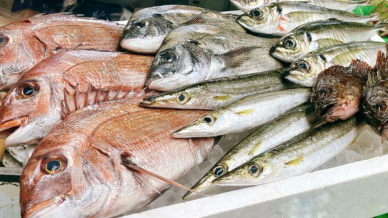 氷の上に並べられた数種類の魚