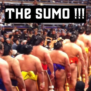 sumo
