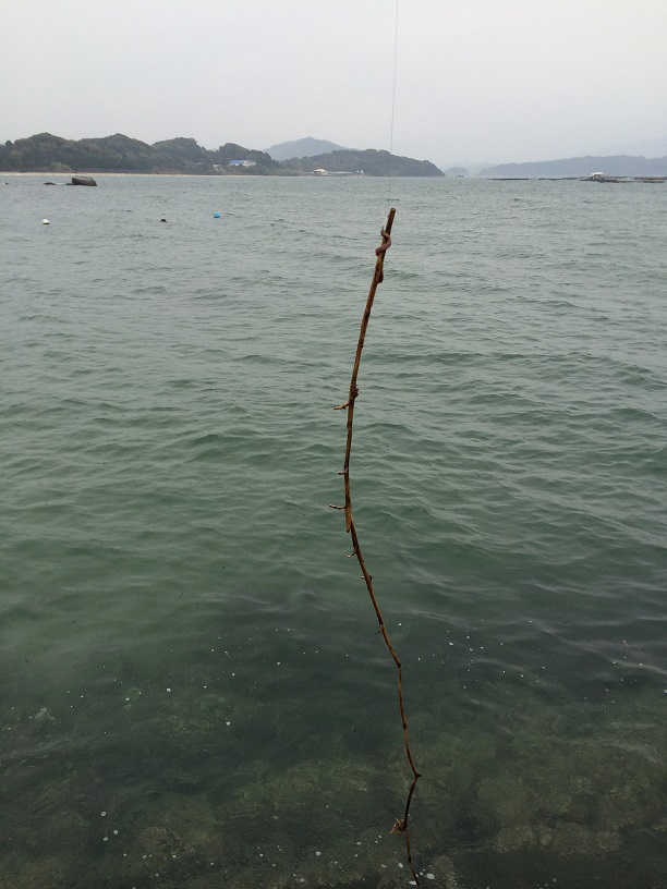 写真 2014-04-05 14 32 11