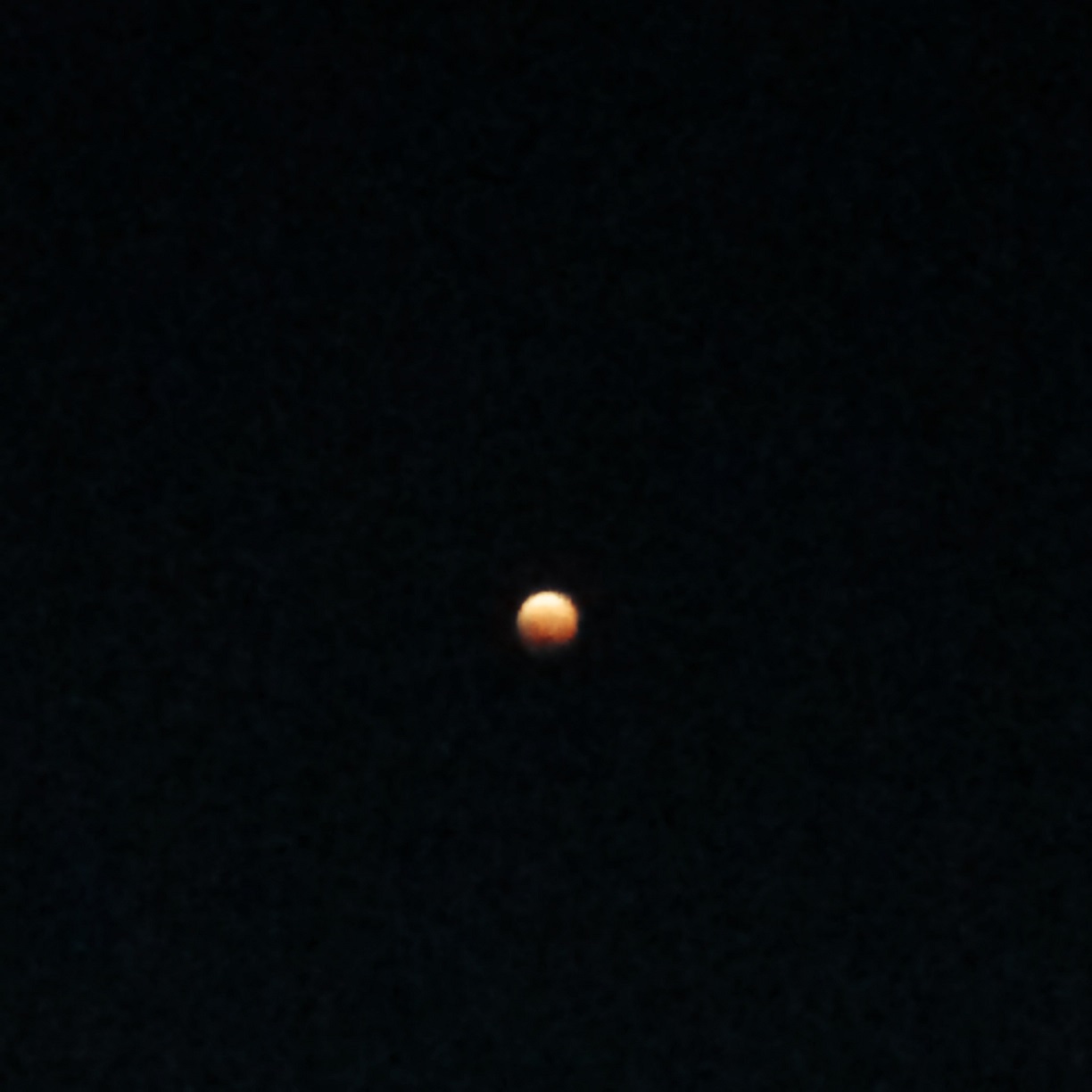 写真 2014-10-08 19 27 23