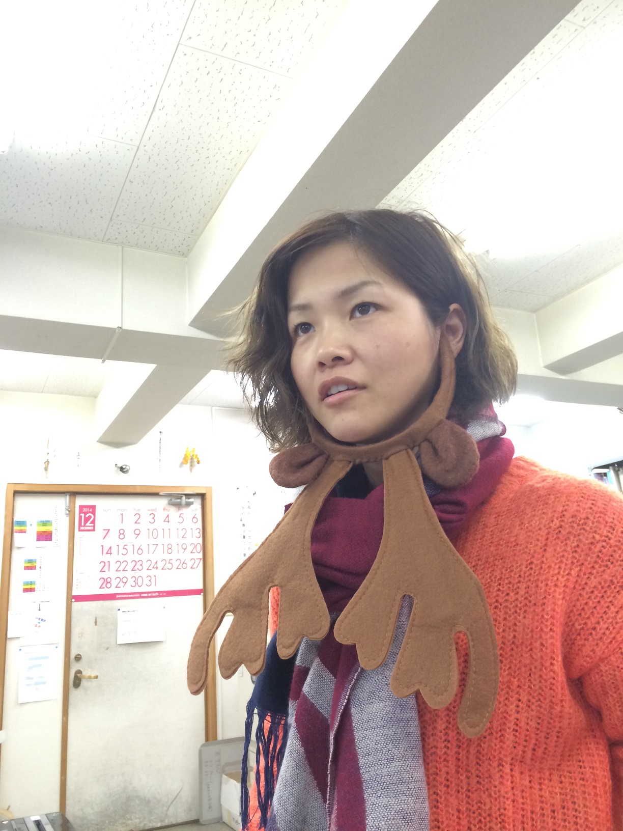 写真 2014-12-18 16 40 50
