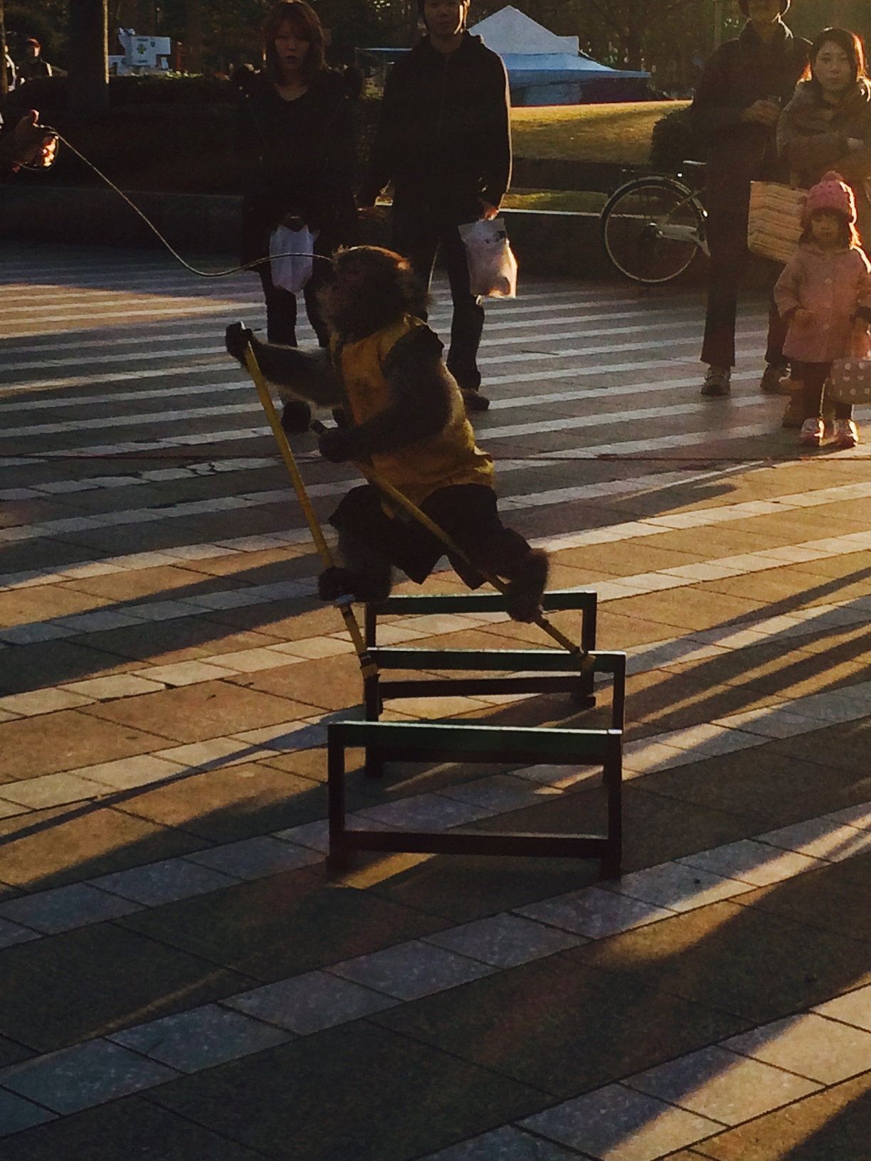 写真 2015-01-08 16 38 18