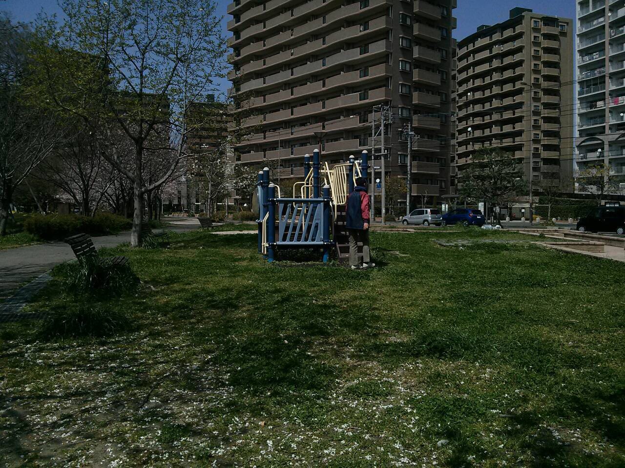 写真 2015-03-31 20 25 43