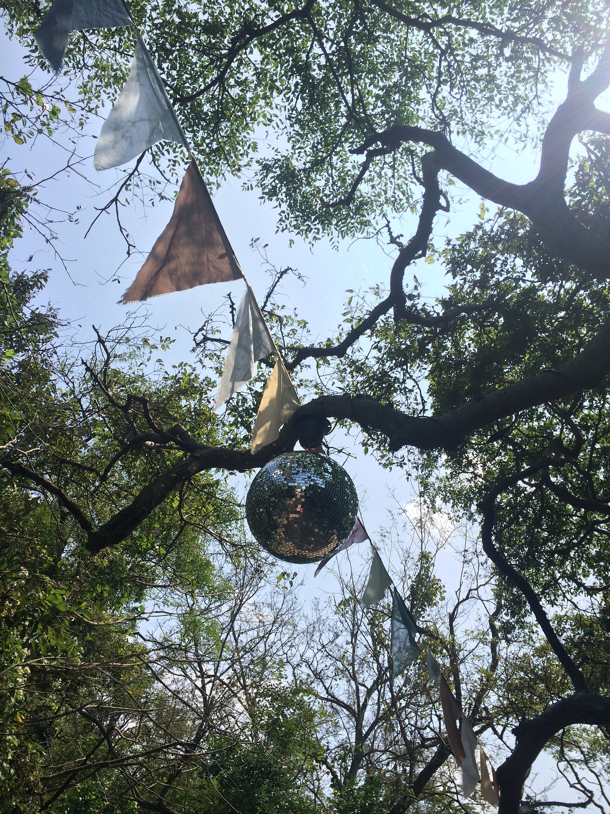 写真 2015-09-04 12 09 50